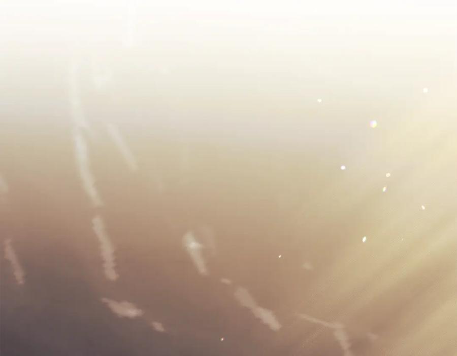 第223页