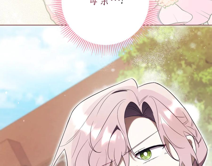 第206页