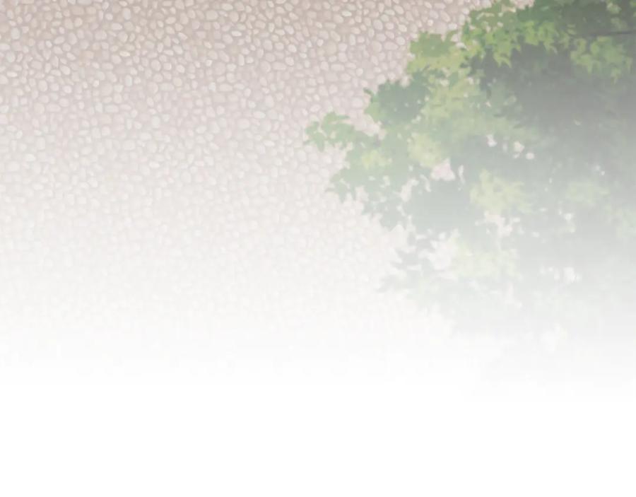 第236页