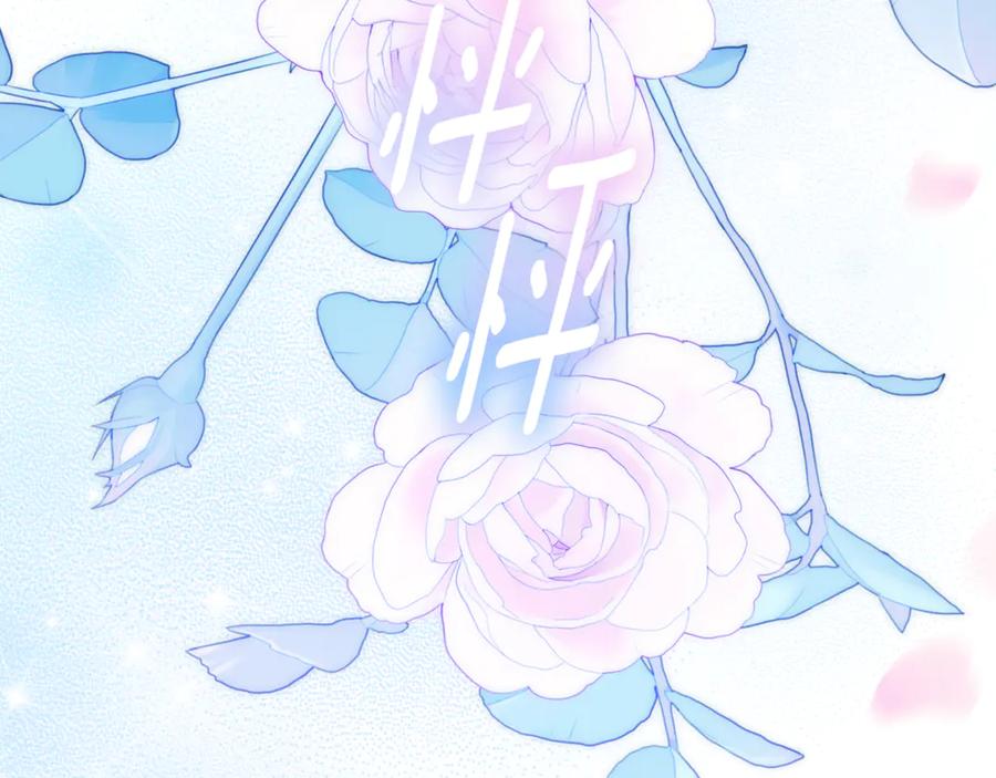 第255页