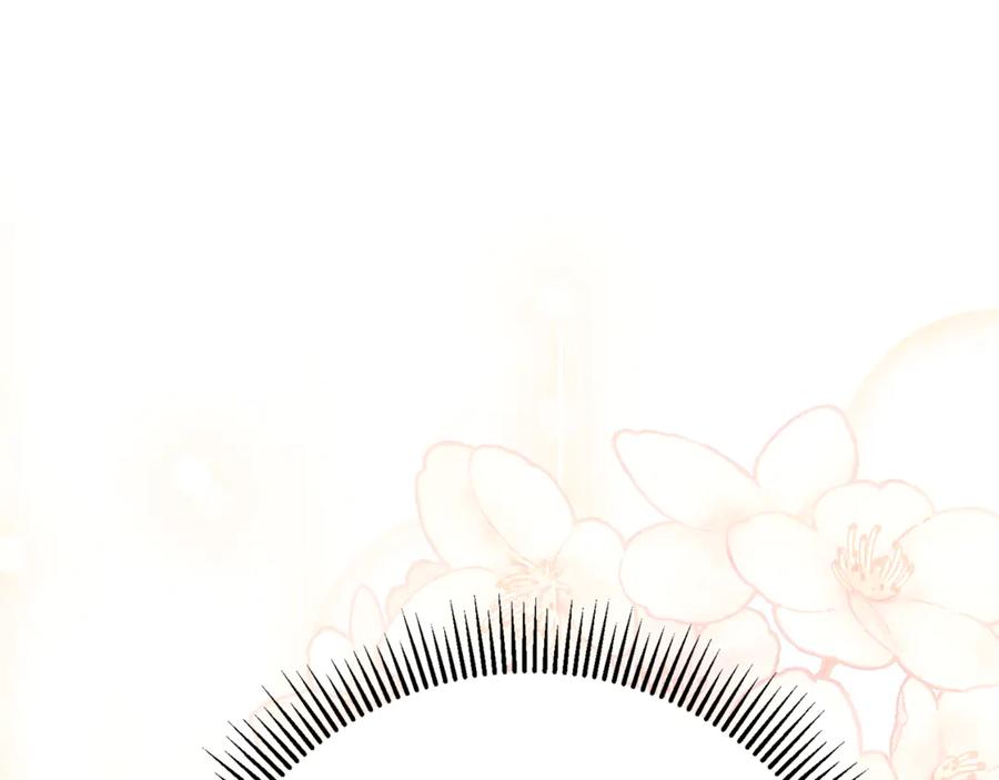 第244页