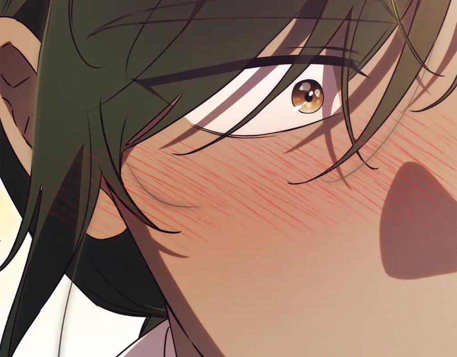 第291页