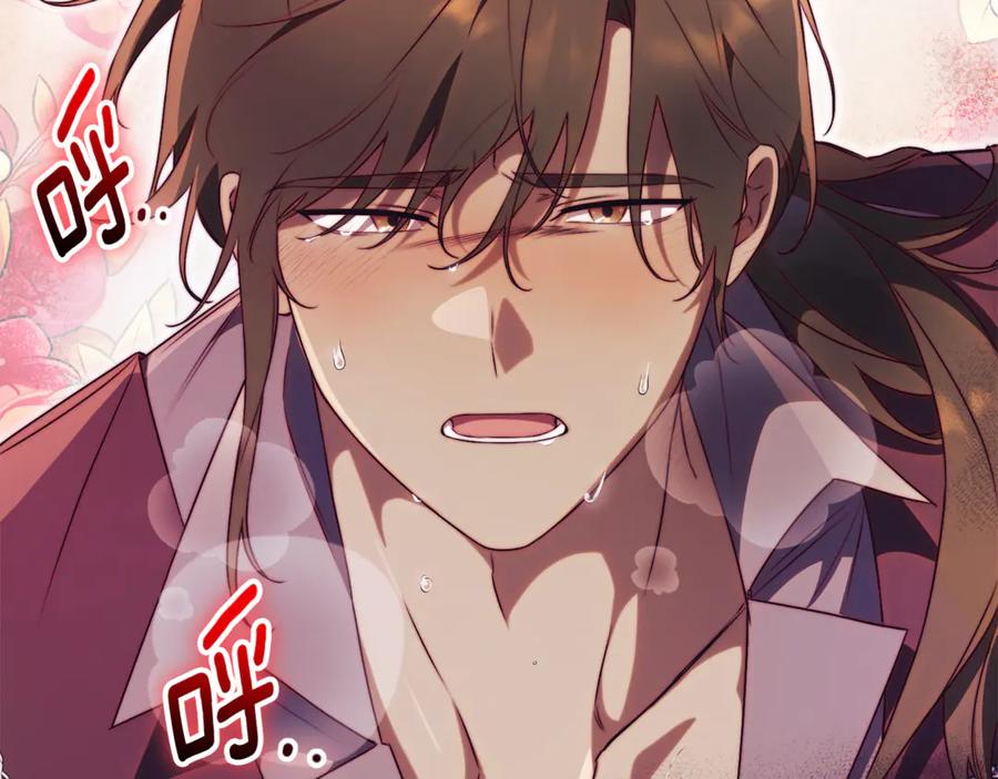 第234页