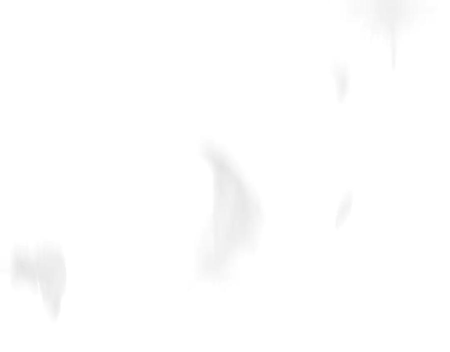 第234页