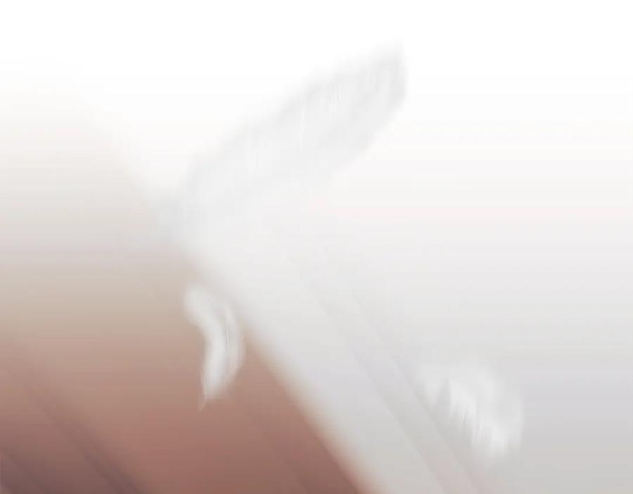 第235页