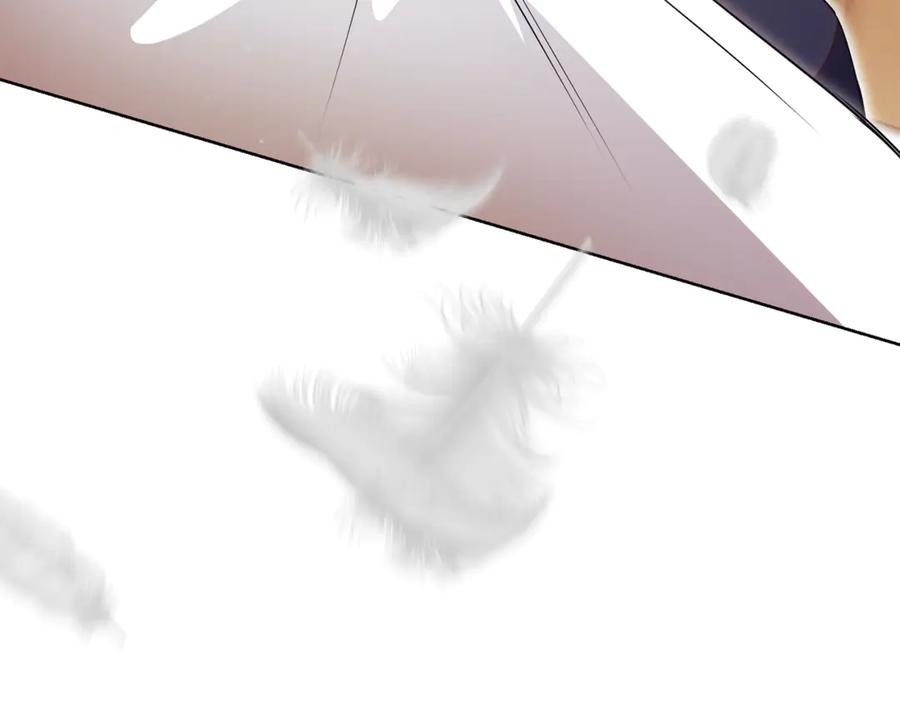 第239页