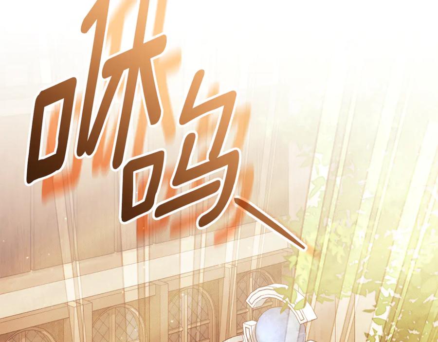 第216页