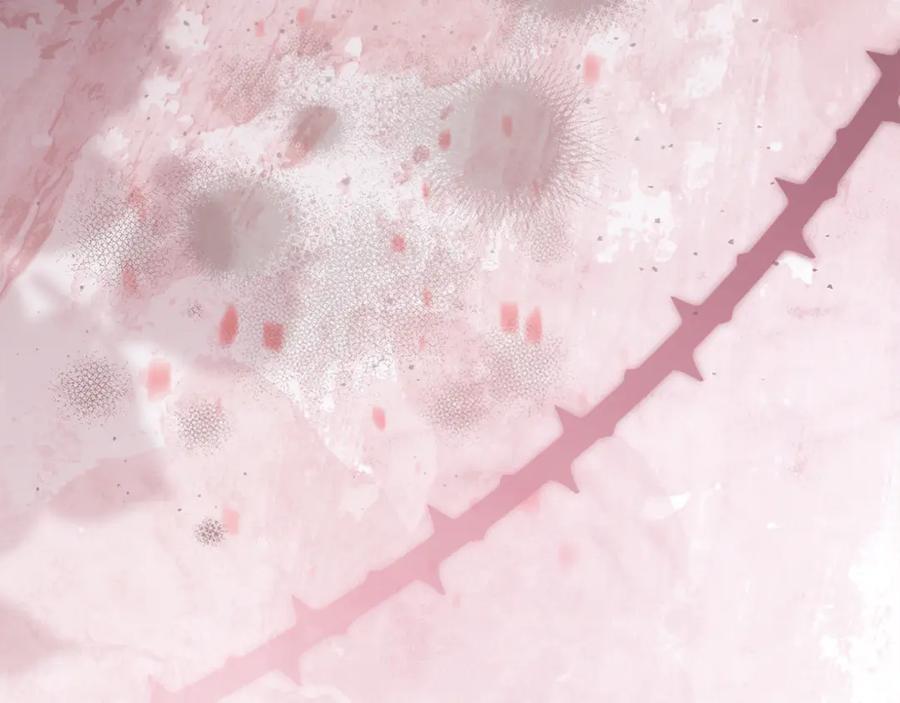 第234页