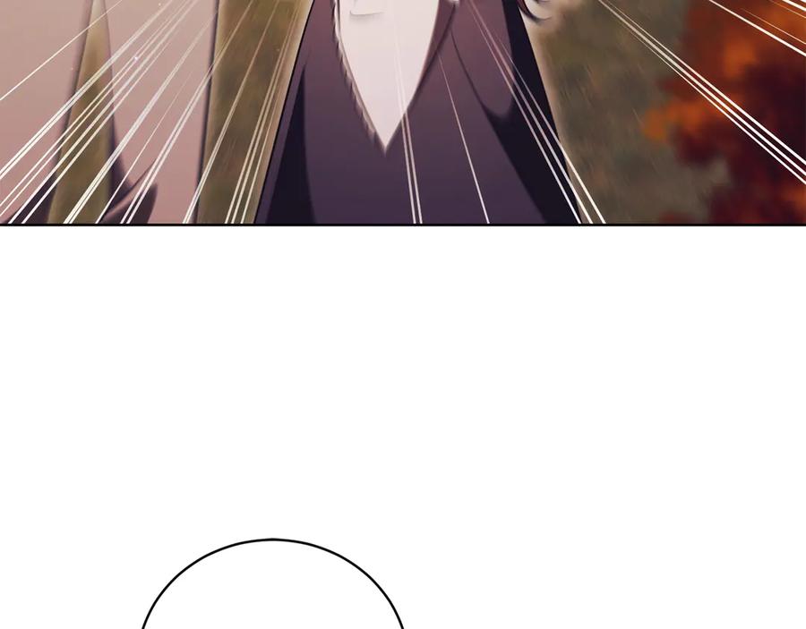 第242页