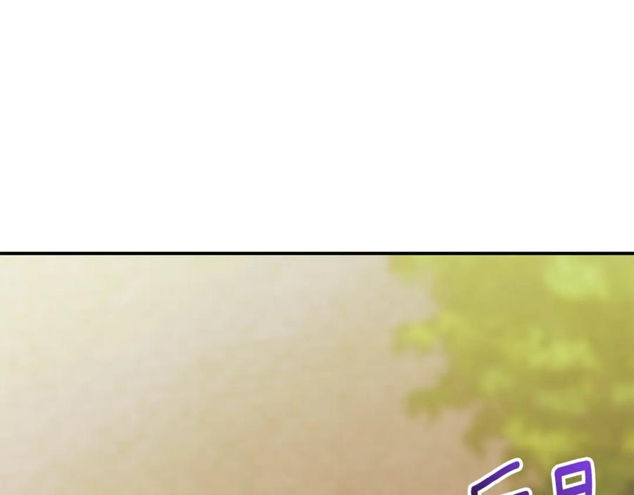 第224页