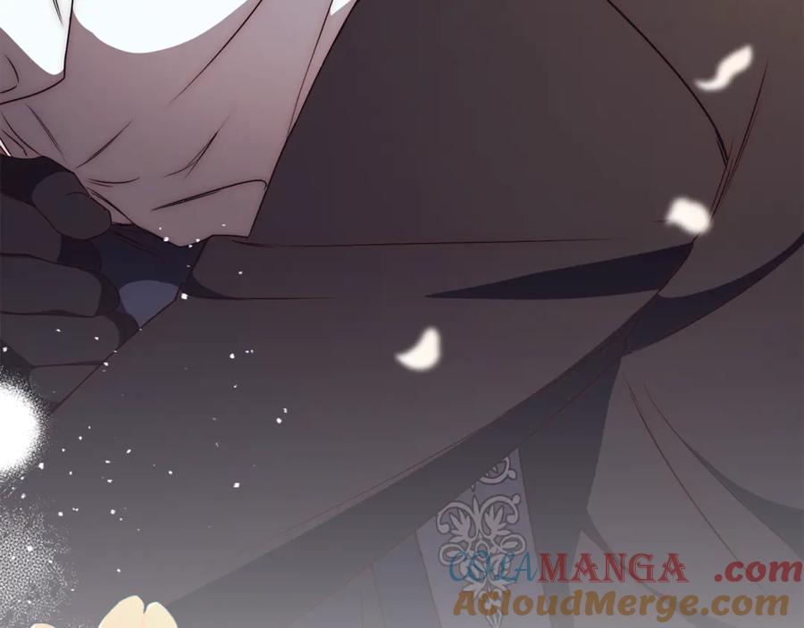 第205页
