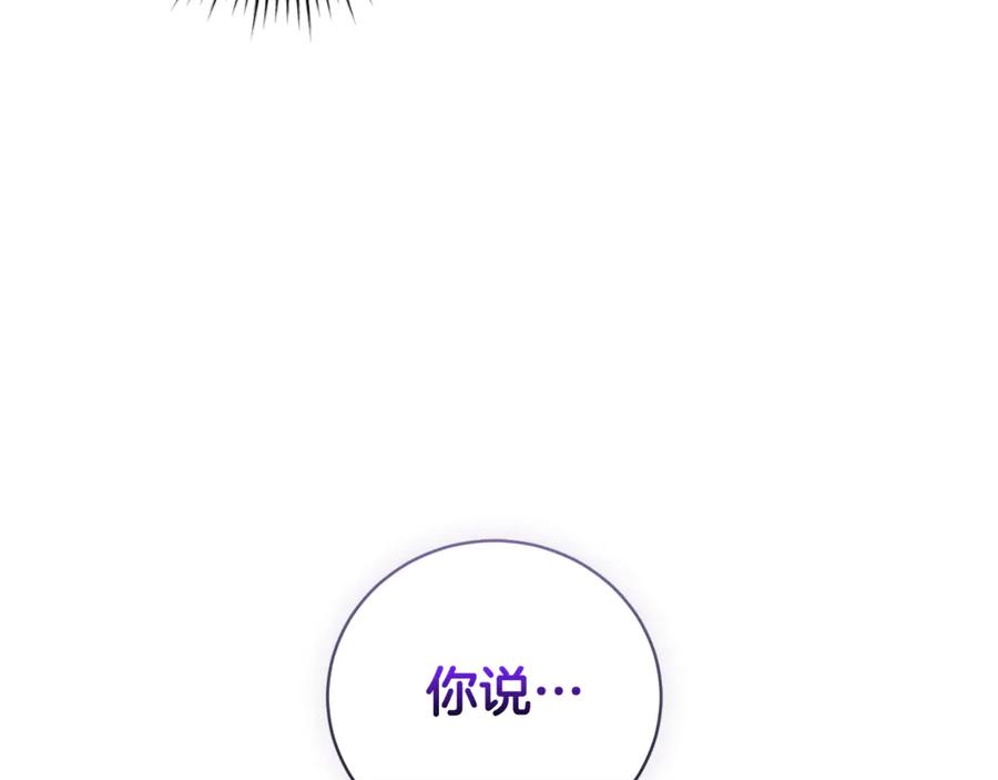 第223页