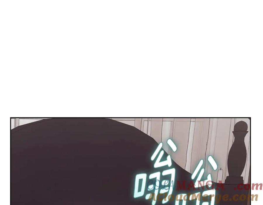 第233页