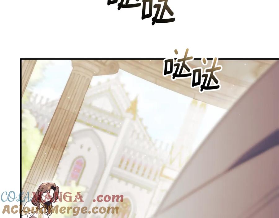 第217页