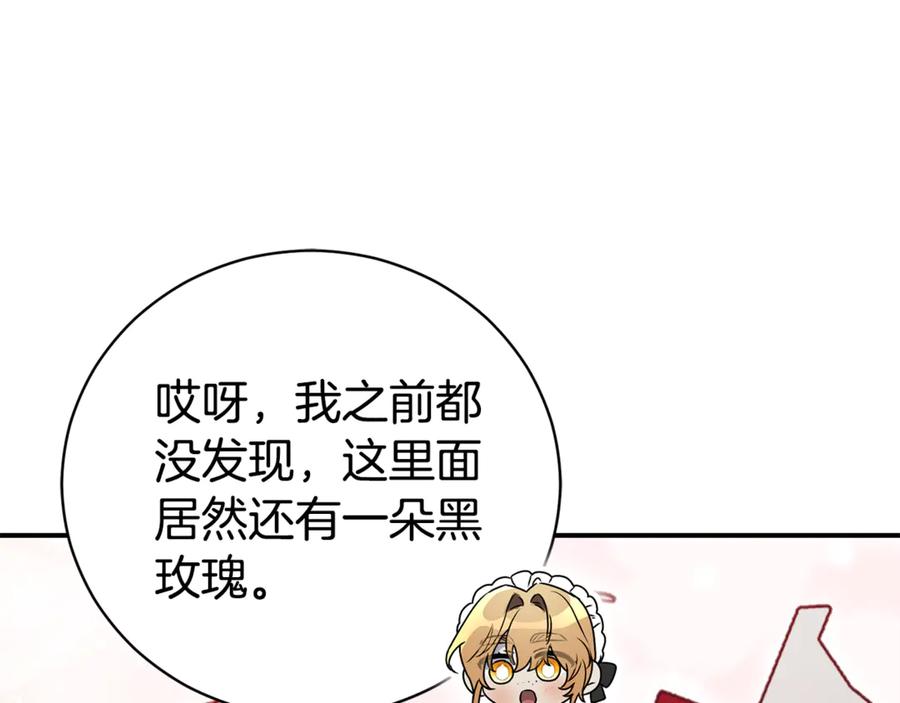 第244页