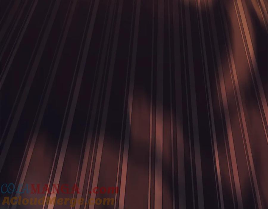 第241页