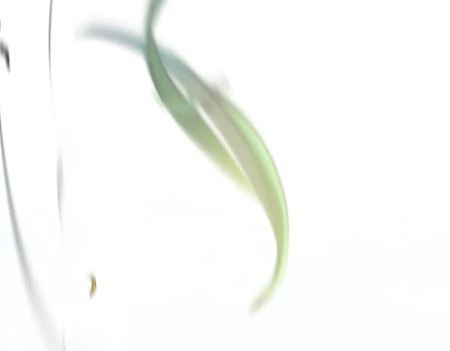 第194页