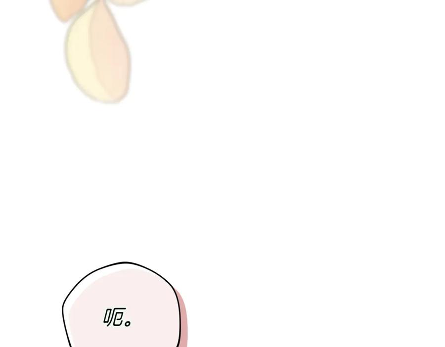 第254页