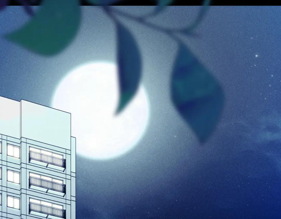 第215页