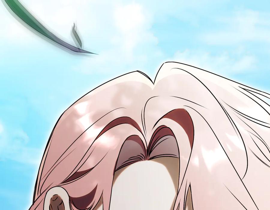 第255页