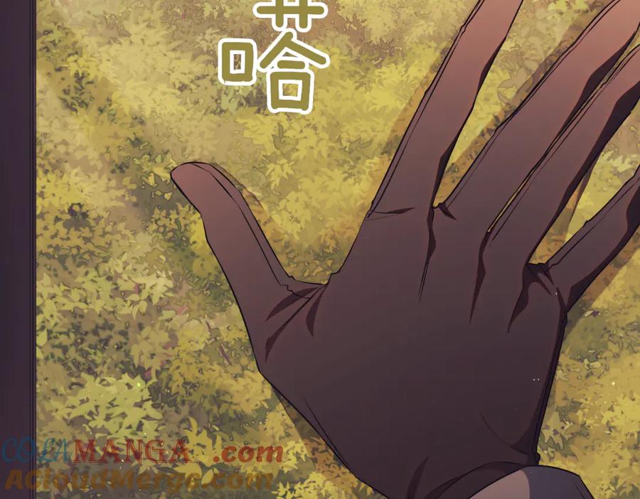 第293页