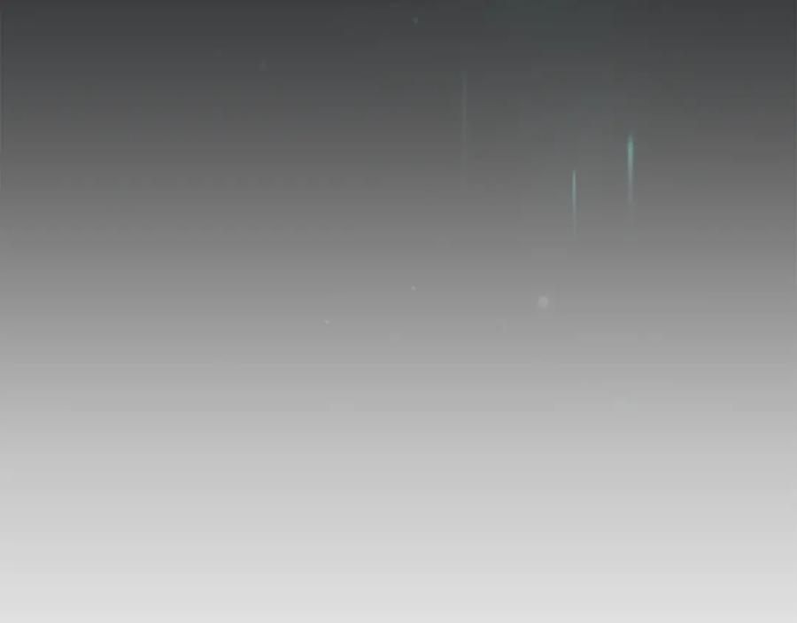 第238页