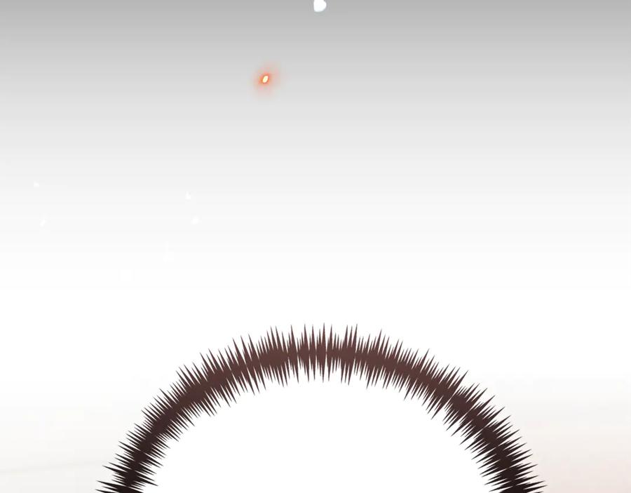 第251页