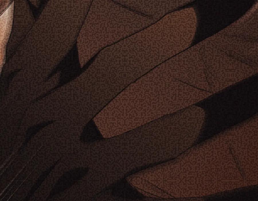 第206页