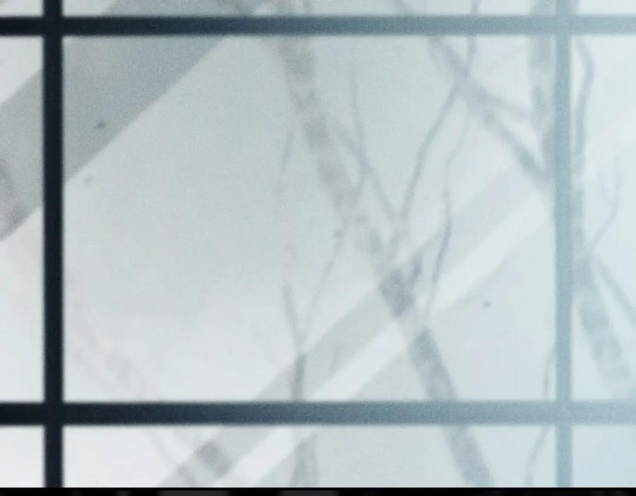 第240页