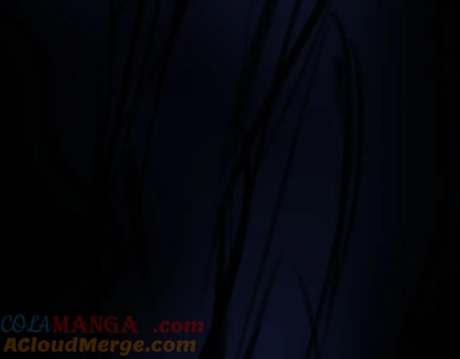 第245页