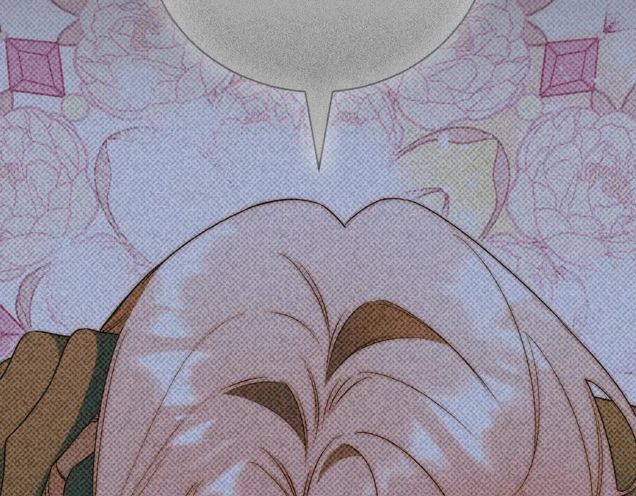 第223页