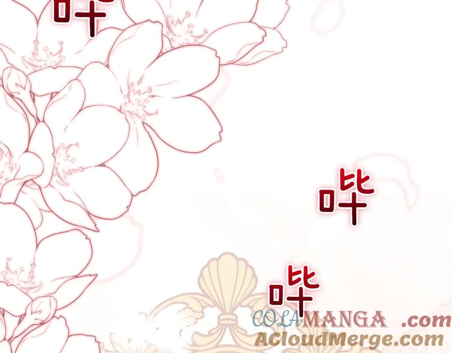 第217页
