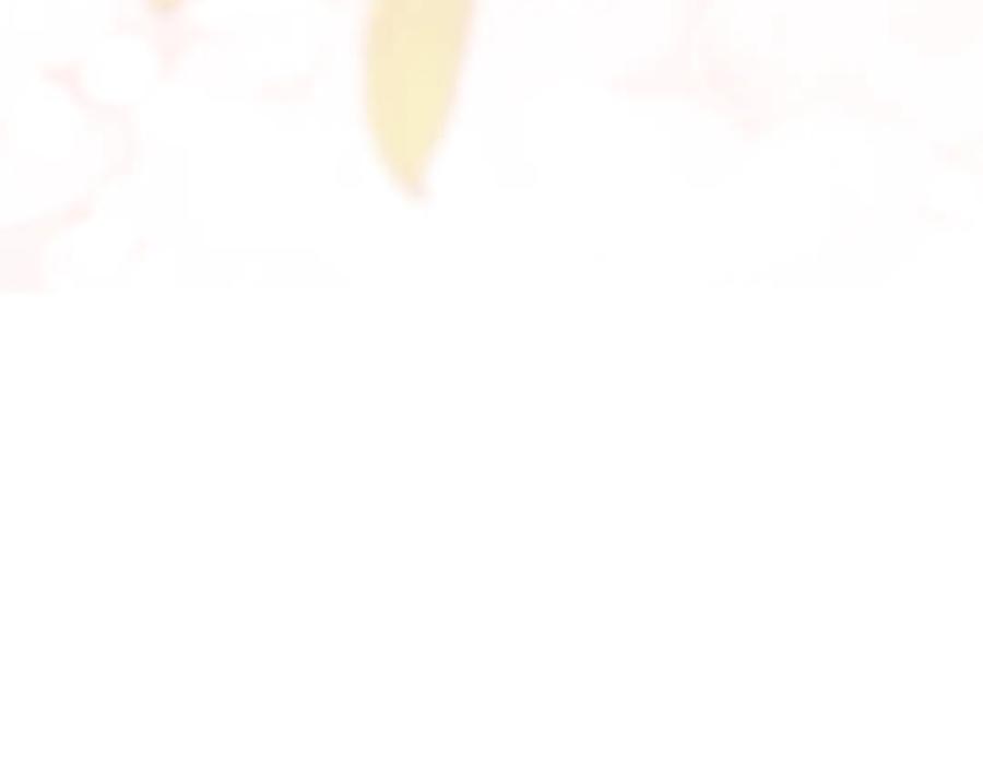 第260页