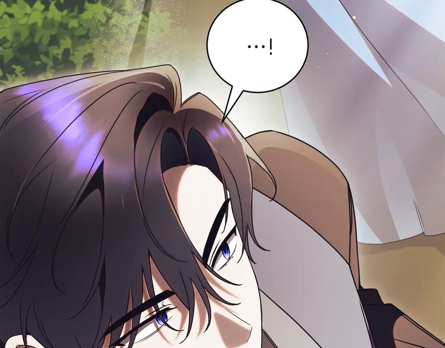 第266页