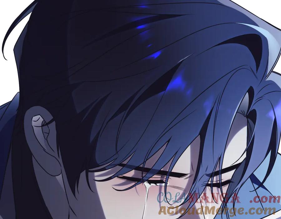 第217页