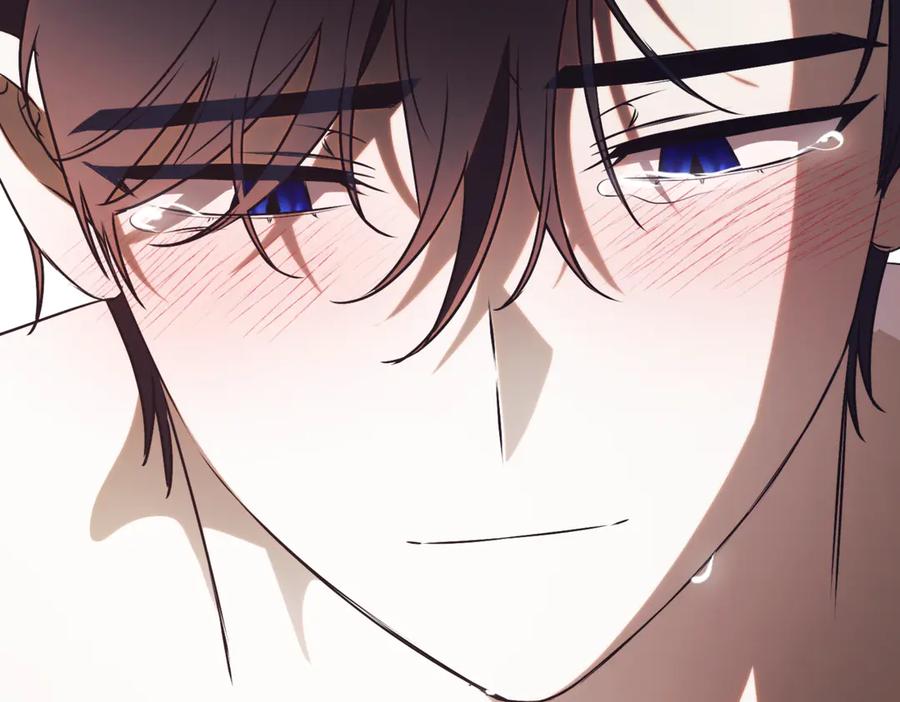 第215页