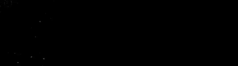 第239页