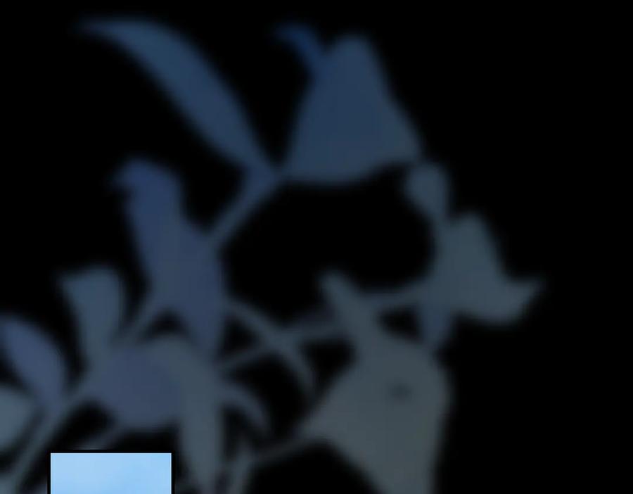 第240页