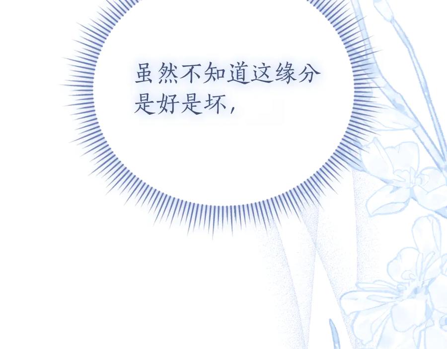 第254页