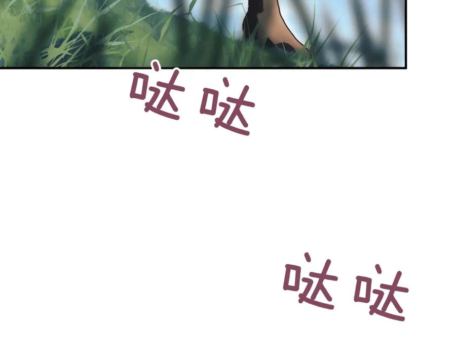 第216页