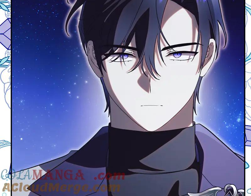 第241页