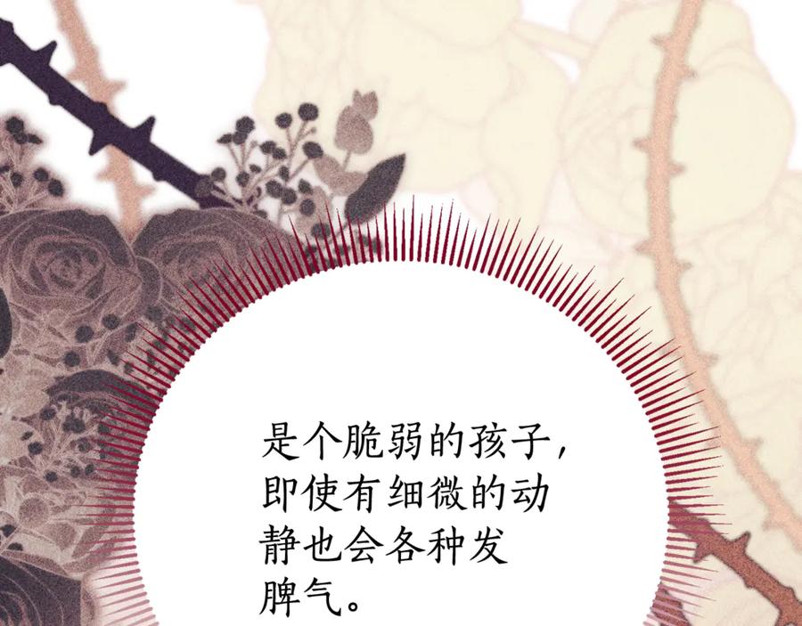 第251页