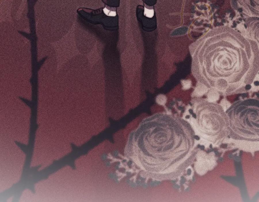 第254页