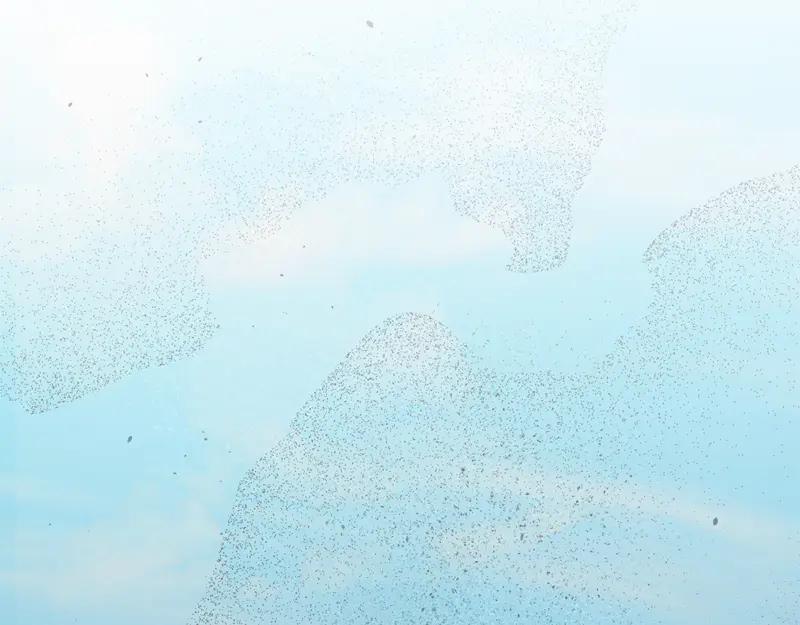 第286页