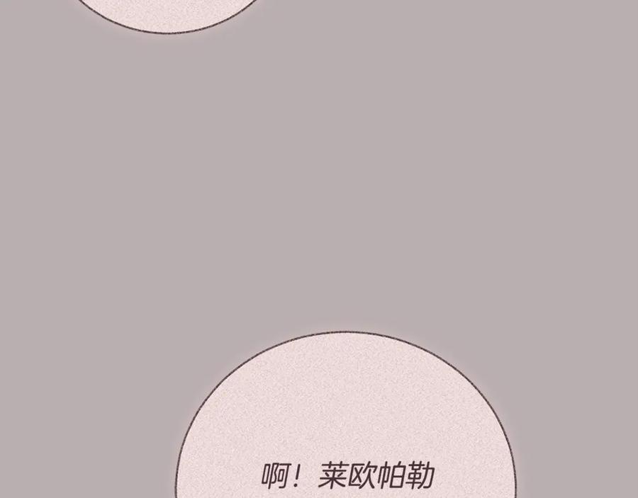 第206页