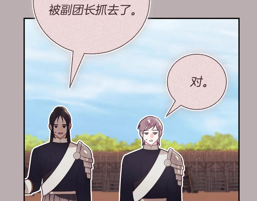 第223页