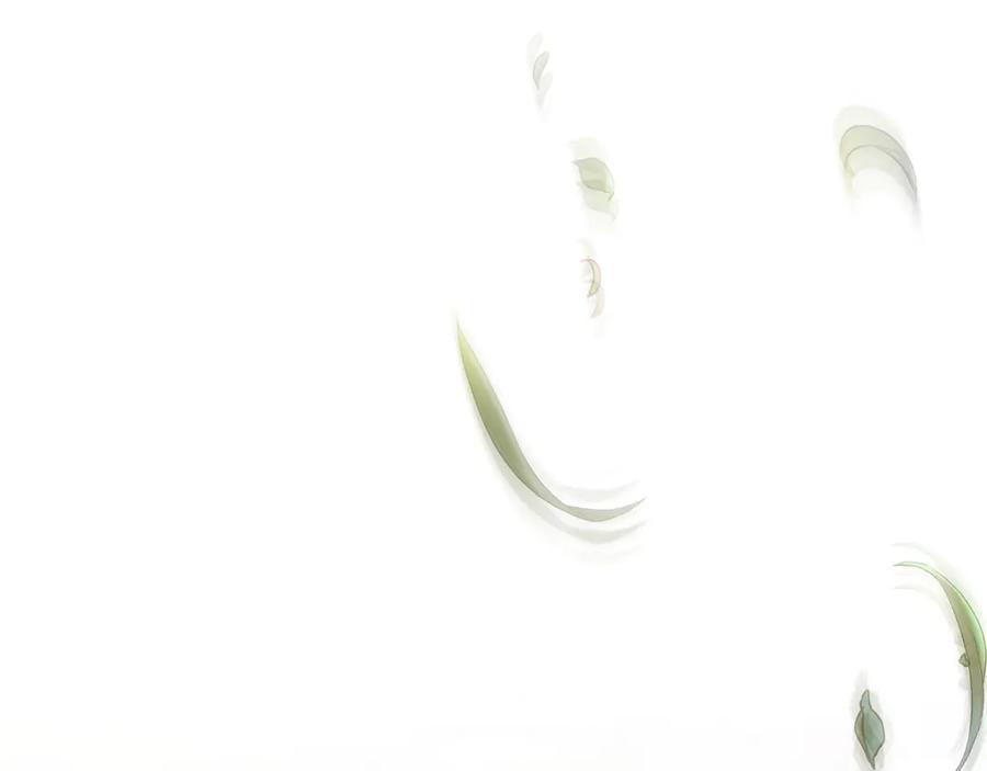 第254页