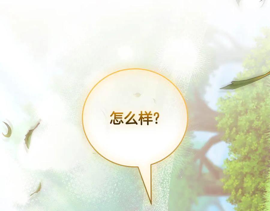 第255页