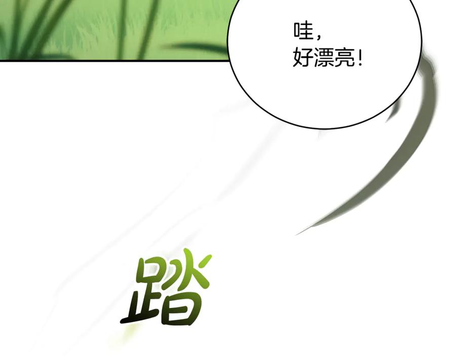 第232页