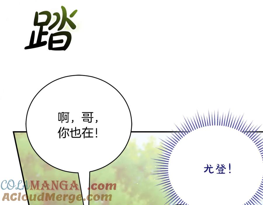 第233页